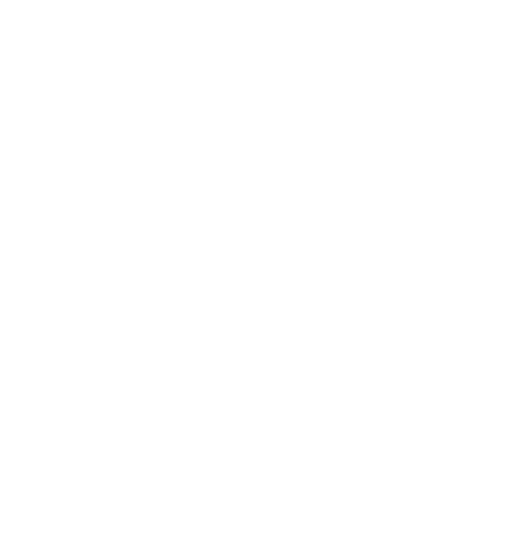 Owl Icon